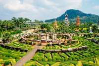 Optional, excursie de jumatate de zi la Gradinile Tropicale Nong Nooch. La doar 20 de minute de Pattaya, in noua statiune Nong Nooch Village asezata pe intinse coline inverzite, veti intra intr-un colt de Rai. 