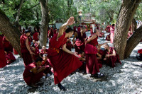 Intinzadu-se pe o suprafata de 114.946 mp, manastirea este faimoasa pentru dezbaterile aprinse zilnice ale calugarilor impregnandu-i un stil distinctiv fata de celelalte manastiri faimoase ale Lhasei.