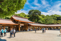Incepem vizitarea capitalei nipone cu Altarul Meji Jingu inchinat cultului Shinto. Shinto este cea mai veche religie din Japonia si este adanc inradacinata in modul de viata al japonezilor.