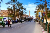 Servim pranzul in Gafsa dupa care ne indreptam spre sud unde vom ajunge pe seara in Tozeur, oras-oaza din desert.