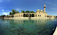 Traseul continua spre Urfa, actualul oras Sanlıurfa sau stravechiul Ur, un oras bine conservat, cu cladiri traditionale si un amalgam de culori care incanta vizitatorul.