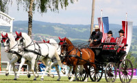 Inainte de a parasi ferma vom face o oprire in sala campionilor, micutul muzeu dedicat fratilor Lazar, in care vom vedea medaliile castigate de acestia, dar si carele cu care au reusit sa castige 13 titluri mondiale.