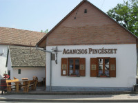 Vom face o vizita cu degustare de vin si pranz la renumita pivnita de vinuri Agancsos 