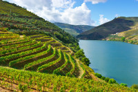 Continuam drumul apoi spre sudul tarii, de-a lungul Vaii Douro. Pe parcursul acestei calatorii va puteti bucura de tot ce va ofera Regiunea Douro