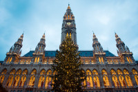 An de an va invitam sa petreceti o frumoasa Vacanta de Craciun la Viena !