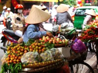 Hanoi are multe traditii legate de mancare si se crede ca majoritatea felurilor de mancare faimoase din Vietnam, ca și phở, chả cá, bánh cuốn și cốm isi au originea aici.