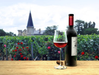Vinul de Bordeaux