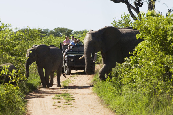 Dimineata devreme incepem o zi plina de explorare a Parcului National Kruger, imbarcandu-ne in jeep-uri de safari decapotabile.