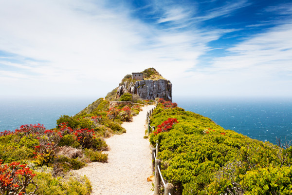 si continuam catre Cape Point, unde se spune ca se intalnesc apele oceanelor Atlantic si Indian ce ne va fermeca cu un peisaj magnific.