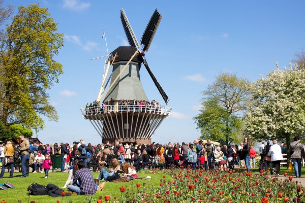 Keukenhof este un parc cu o istorie indelungata, o adevarata expozitie de flori de primavara in aer liber.