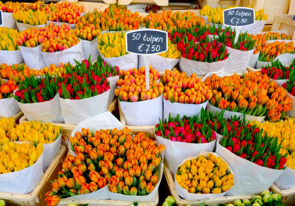 Amsterdam piata de flori