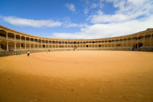 cu un centru vechi cu o dispunere tipic medievala cu importante reminescente arabe si monumente ca Plaza de Toros,