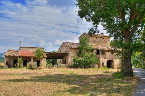 Assisi Ferma veche