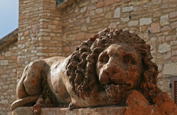 Assisi Marzocco Leul protector