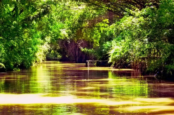 In prima parte a zilei vom efectua o excursie de o jumatate de zi in Delta del Tigre (Delta Tigrului)