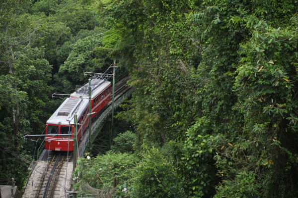 Vizita incepe in apropierea Cosme Velho, de unde un tren-mocanita ne va transporta prin cea mai mare padure urbana din lume, padurea Tijuca, pana sus la statuie.