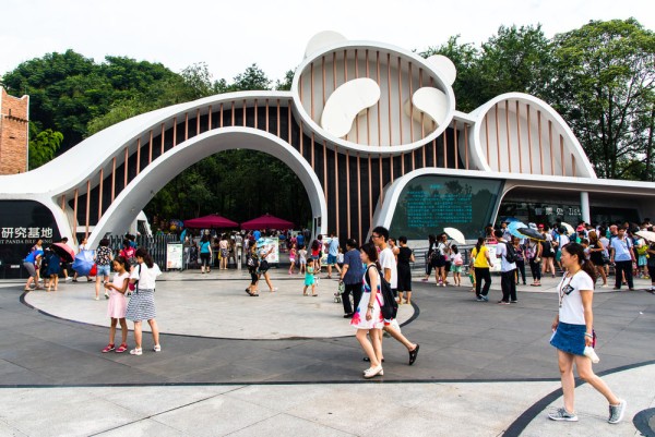 Vizitam Centrul de Cercetare pentru Reproducerea Ursului Panda Urias.