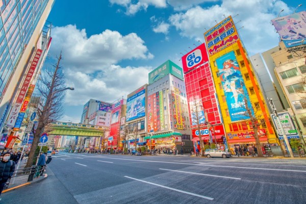 dimineata va incepe cu o scurta calatorie de la hotel catre Akihabara, „Orasul Electric”, unde vom descoperi un univers fascinant de electronice de ultima ora