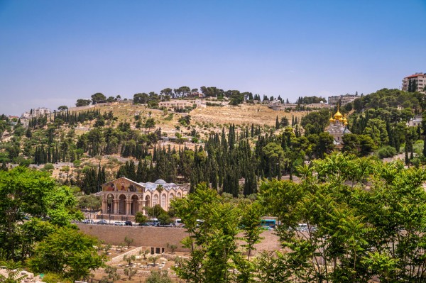 Pelerinajul la Ierusalim incepe urcand pe Muntele Scopus spre Muntele Maslinilor pana la locul Inaltarii.