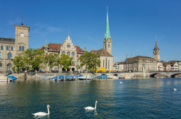 Elvetia Zurich Primaria