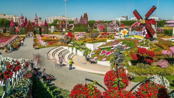 Timp liber la dispozitie sau, optional, va propunem o Excursie la Miracle Garden