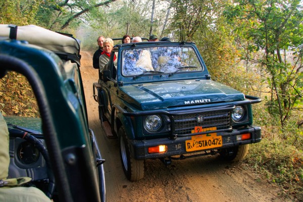 vom porni in Safari in Parcul National Ranthambore