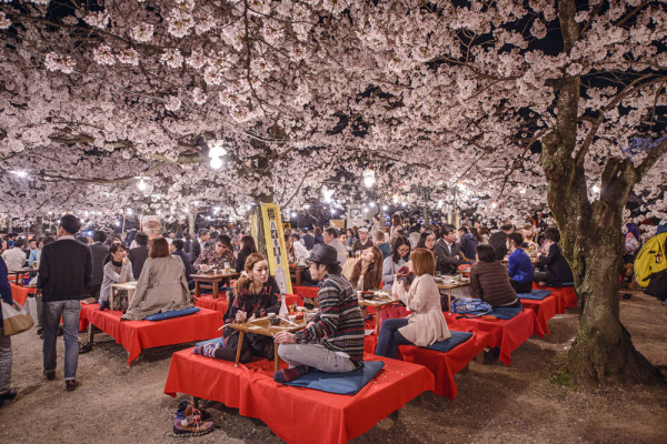 Cu cei peste 1.000 de ani de istoriei ai sai, Kyoto constitue centrul Japoniei in ceea ce priveste cultura traditionala si are aproape orice isi pot dori vizitatorii, adica peste 1.800 de temple, sute de altare, cladiri si cartiere istorice...