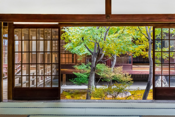 Cu cei peste 1.000 de ani de istoriei ai sai, Kyoto constituie centrul Japoniei in ceea ce priveste cultura traditionala si are aproape orice isi pot dori vizitatorii, adica peste 1.800 de temple, sute de altare, cladiri si cartiere istorice.