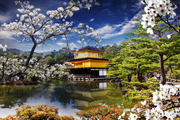 Incepem cu vizitarea Templului Kinkakuji cunoscut si sub denumirea de Pavilionul de Aur. Privelistea cu templul de aur oglindindu-se in iazul din fata sa, mai ales atunci cand copacii din jurul lui au culorile toamnei, este una dintre cele mai frumoase d