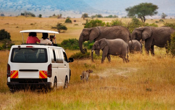 Dimineata pornim la un nou game drive in Masai Mara.