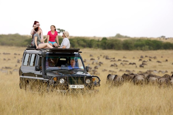 Dupa-amiaza continuam descoperirea faunei din parc cu un alt treilea game drive in Masai Mara.