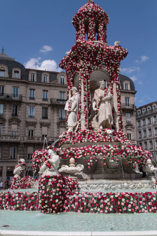Lyon festival trandafiri