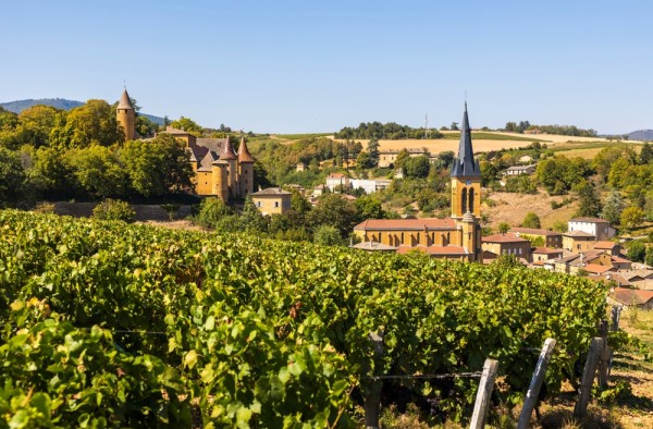 Ne aflam in regiunea viticola Beaujolais asa ca excursia nu ar fi completa fara o degustare de vinuri specifice zonei.