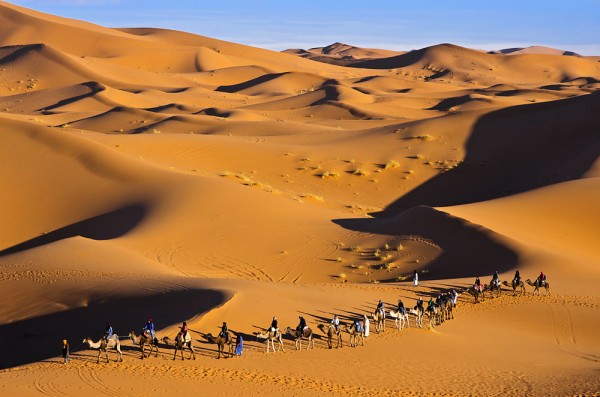 si plimbare cu camilele prin desertul Sahara.