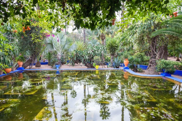 Gradinile Majorelle