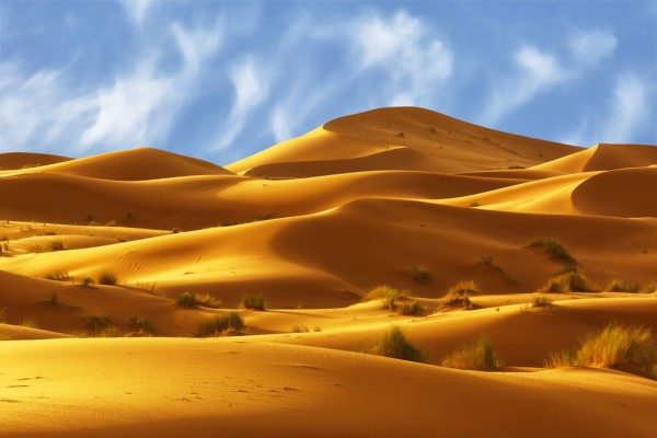 Drumul ne duce la Erfoud, “poarta de intrare” in Desertul Sahara,
