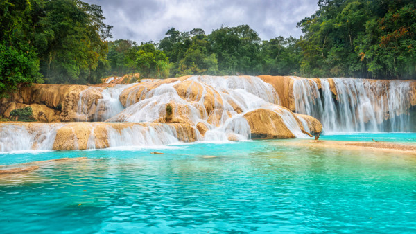 In drum spre Palenque va veti opri sa vizitati fabuloasele cascade Aqua Azul. Incojurate de o vegetatie luxurianta, raurile se varsa in defileul stancos formand sute de cascade albe.