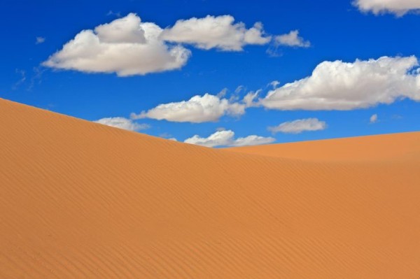 Dupa servirea pranzului plecam spre dunele de nisip de la Moltsog, avand astfel minunata experienta de a pasi in desert
