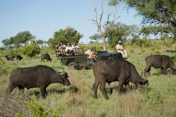 Astazi puteti opta pentru urmatoarele excursii optionale: Safari in Parcul National Kruger in jeep-uri 4x4 decapotabile cu pranz inclus