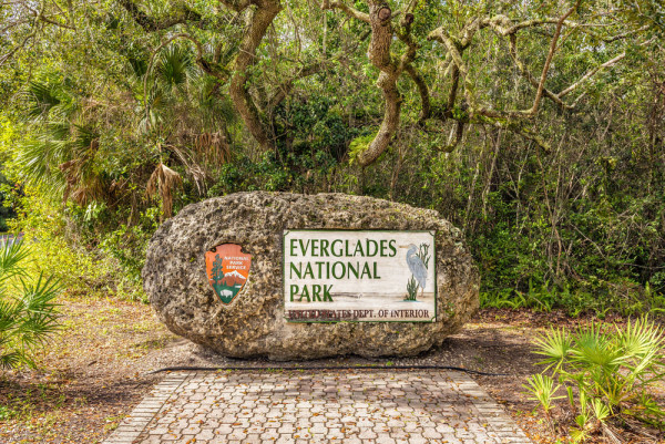 Optional, Excursie la Parcul National Everglades cu pranz inclus.