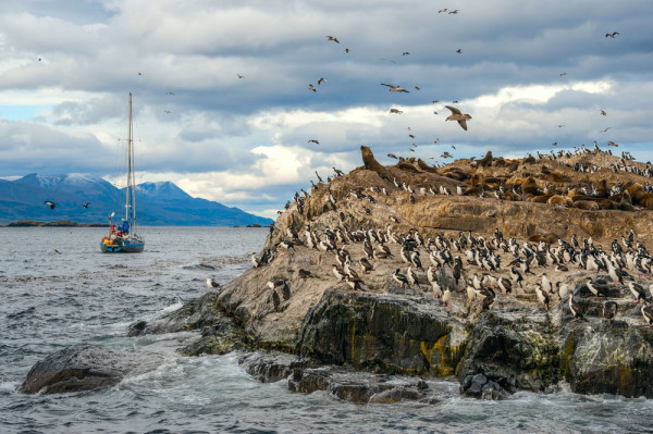 Continuam cu Isla de Pájaros (Insula Pasarilor) pentru a vedea coloniile de cormorani, pescarusi si albatrosi.