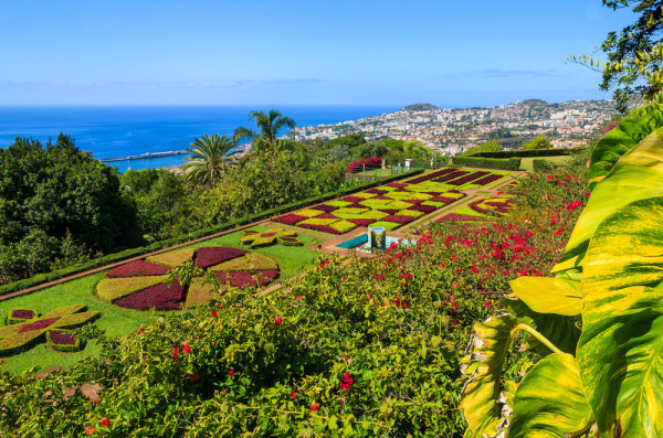 NOU Vacanta la Porto si Madeira Insula Florilor !
