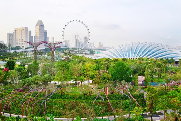 Singapore este o metropola moderna foarte curata, inconjurata de parcuri verzi si atent ingrijite.