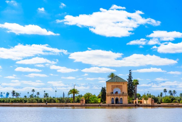 Continuam cu Gradina Menara