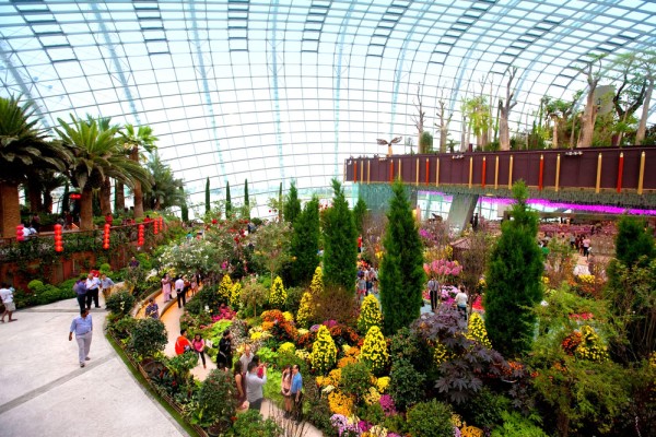 Flower Dome este o sera uriasa care reproduce un climat mediteraneean