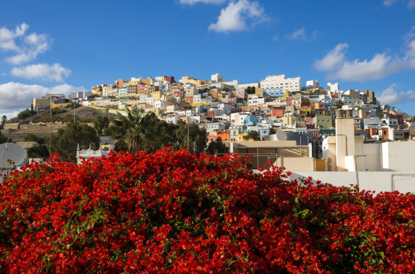 Spania Gran Canaria Las Palmas