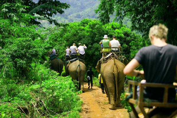 Veti avea ocazia sa faceti o plimbare cu elefantul, deci nu uitati sa va luati camera de fotografiat !