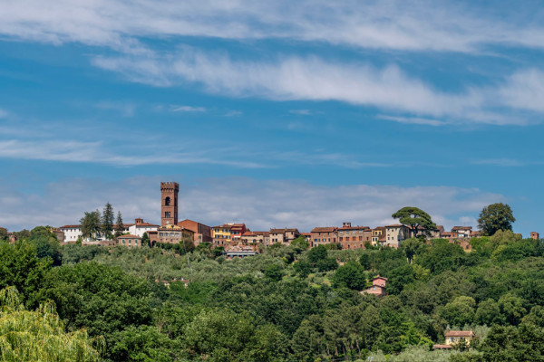 Vom vizita ferma din Fattoria il Poggio, situata in Montecarlo di Lucca, unde vom servi un pranz cu degustare de vinuri.