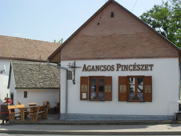 Vom face o vizita cu degustare de vin si pranz la renumita pivnita de vinuri Agancsos 