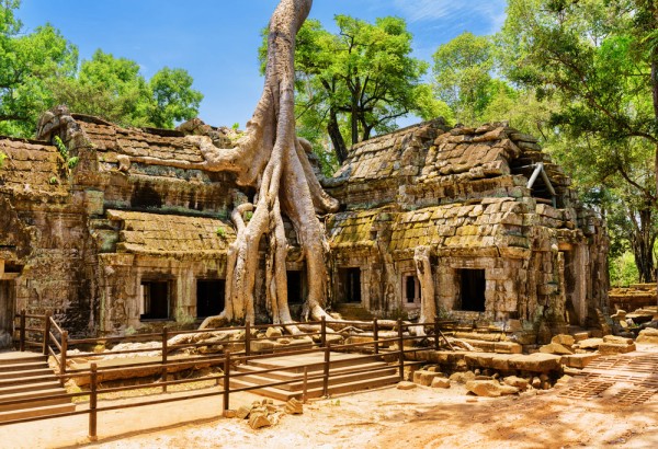 Admiram templul Ta Prohm, care pare ingropat in natura prin copacii incolaciti pe el.
